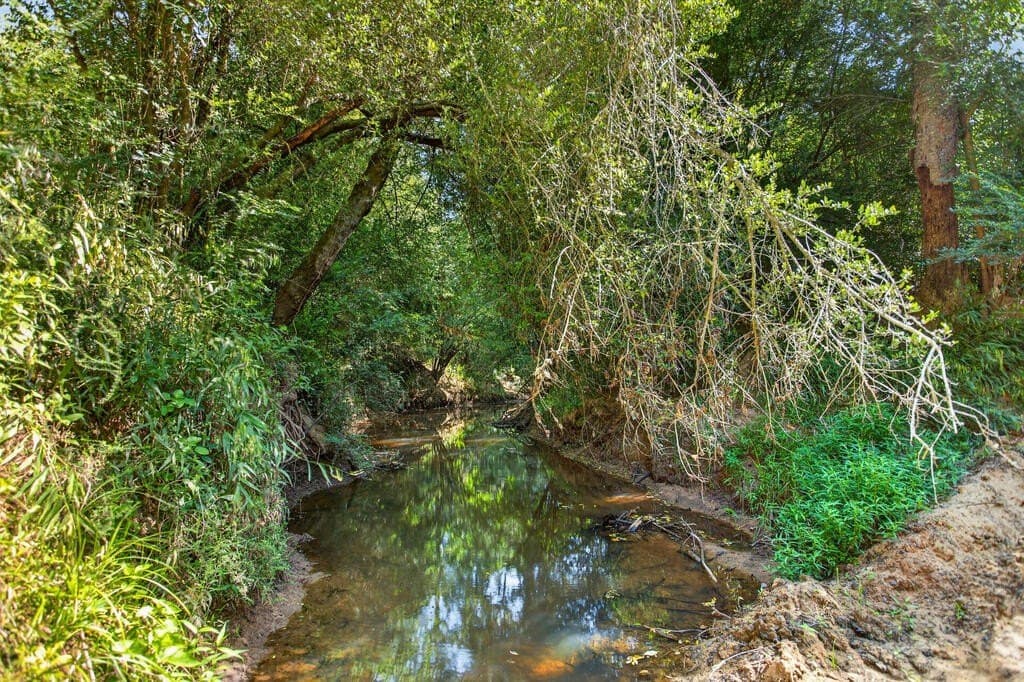 60.12 acres in Texas County - photo 54