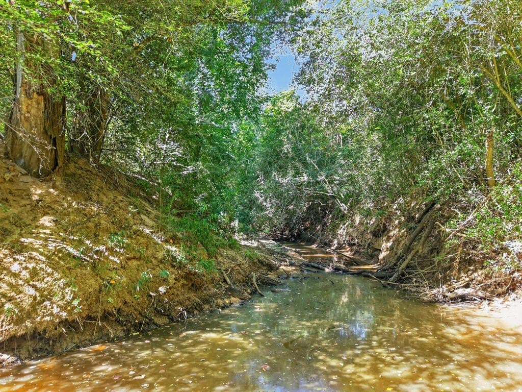 60.12 acres in Texas County - photo 4
