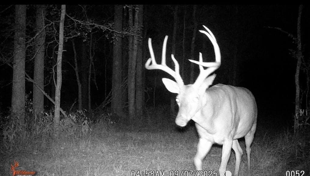 60.12 acres in Texas County - photo 48