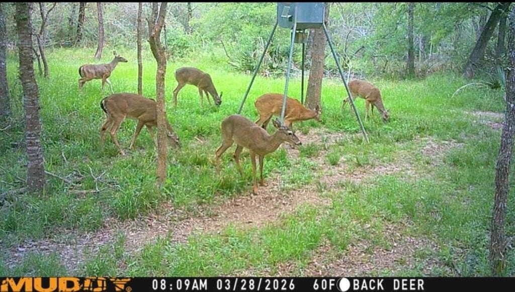60.12 acres in Texas County - photo 53