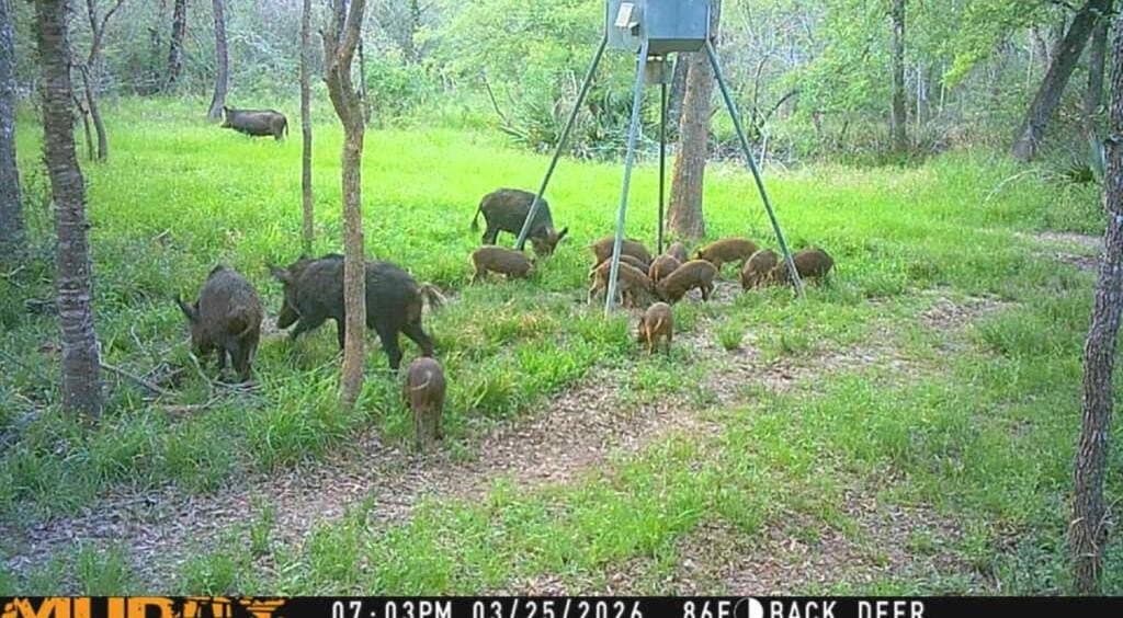 60.12 acres in Texas County - photo 50