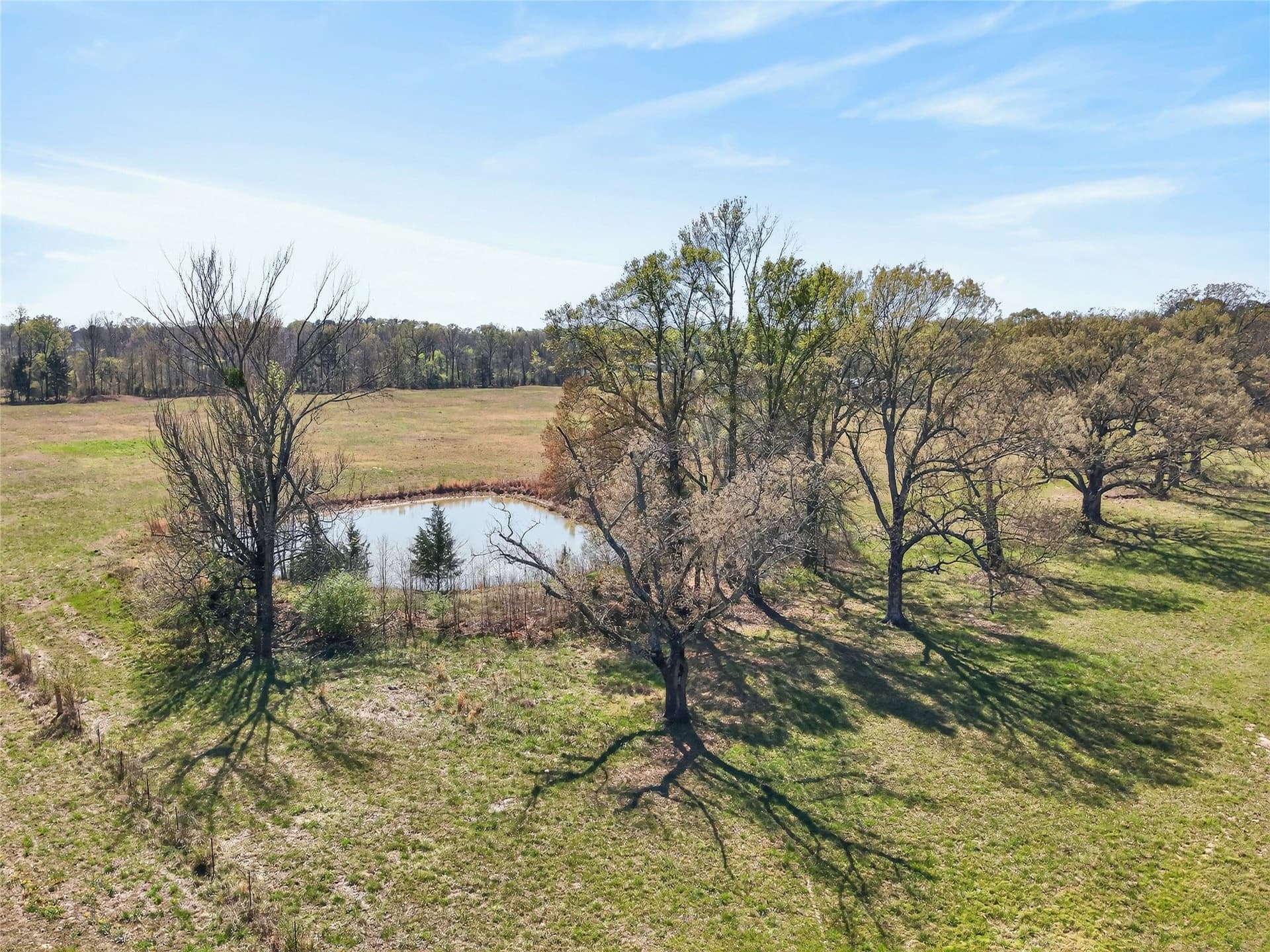 30 acres in Bowie County featured view