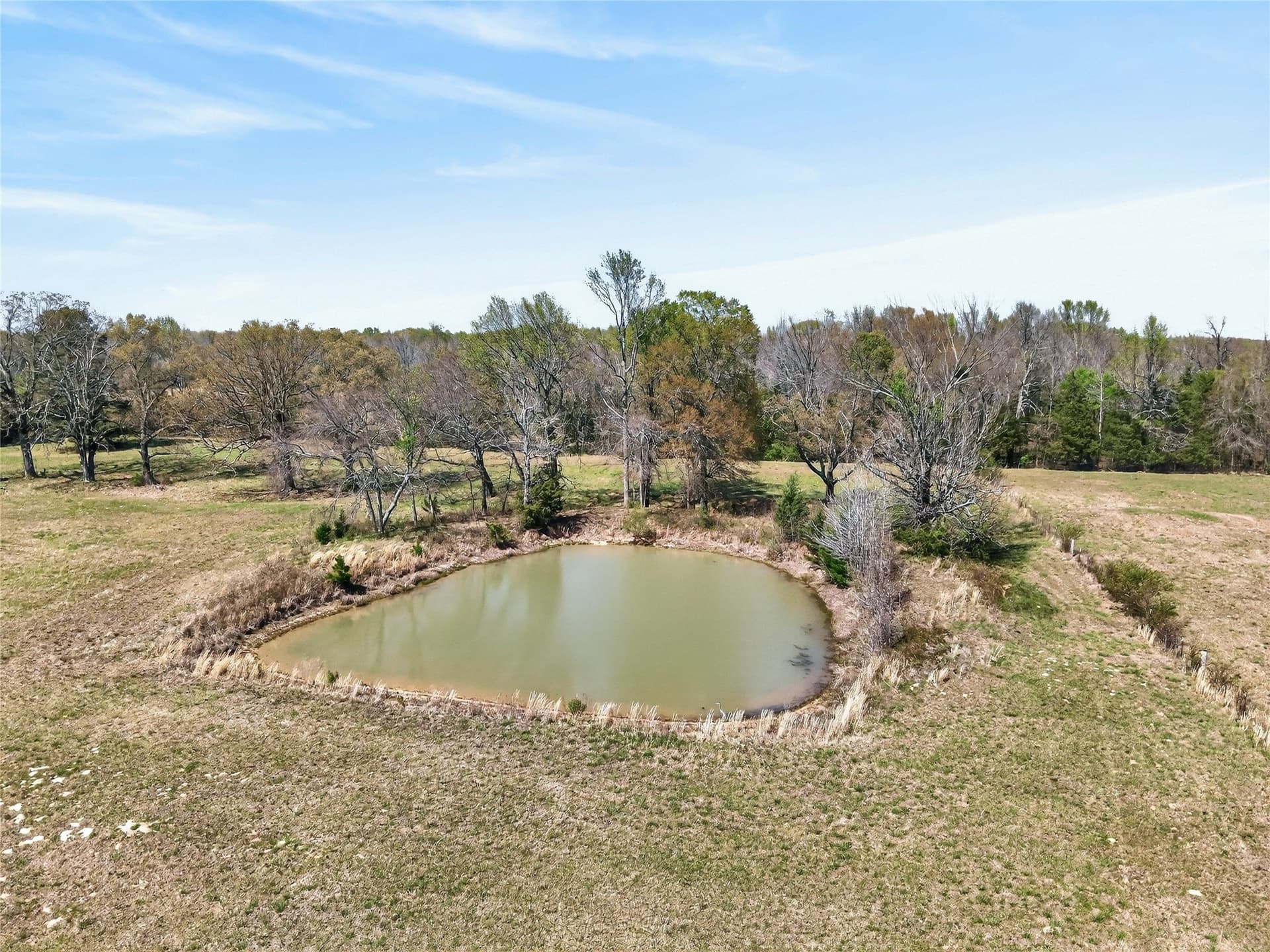 30 acres in Bowie County gallery image 2