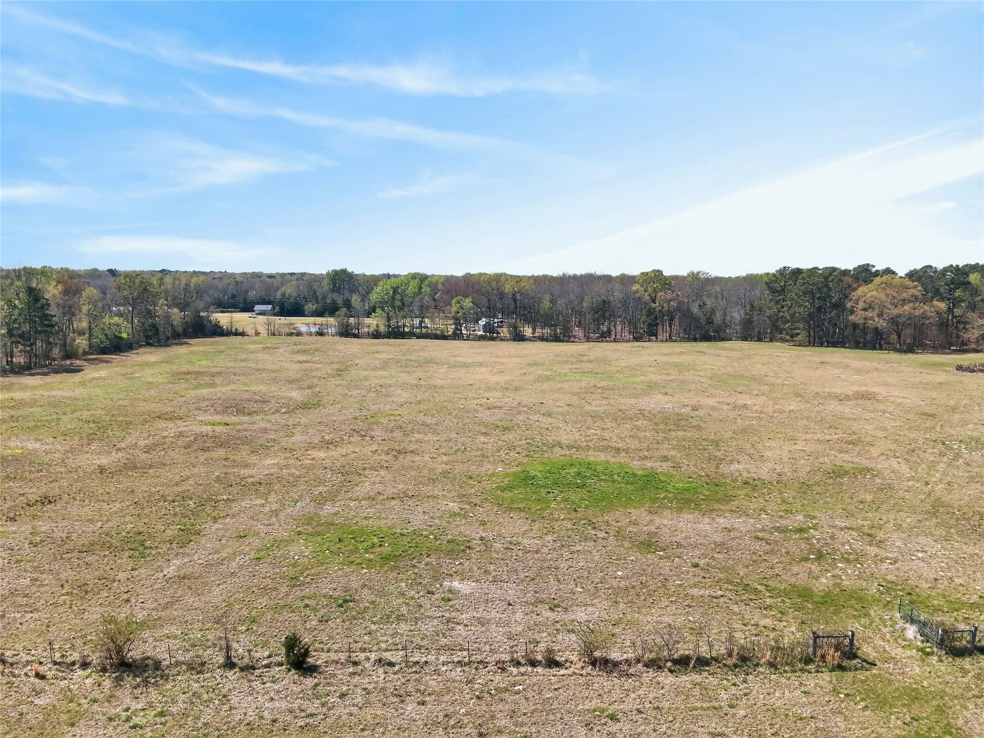 30 acres in Bowie County gallery image 4