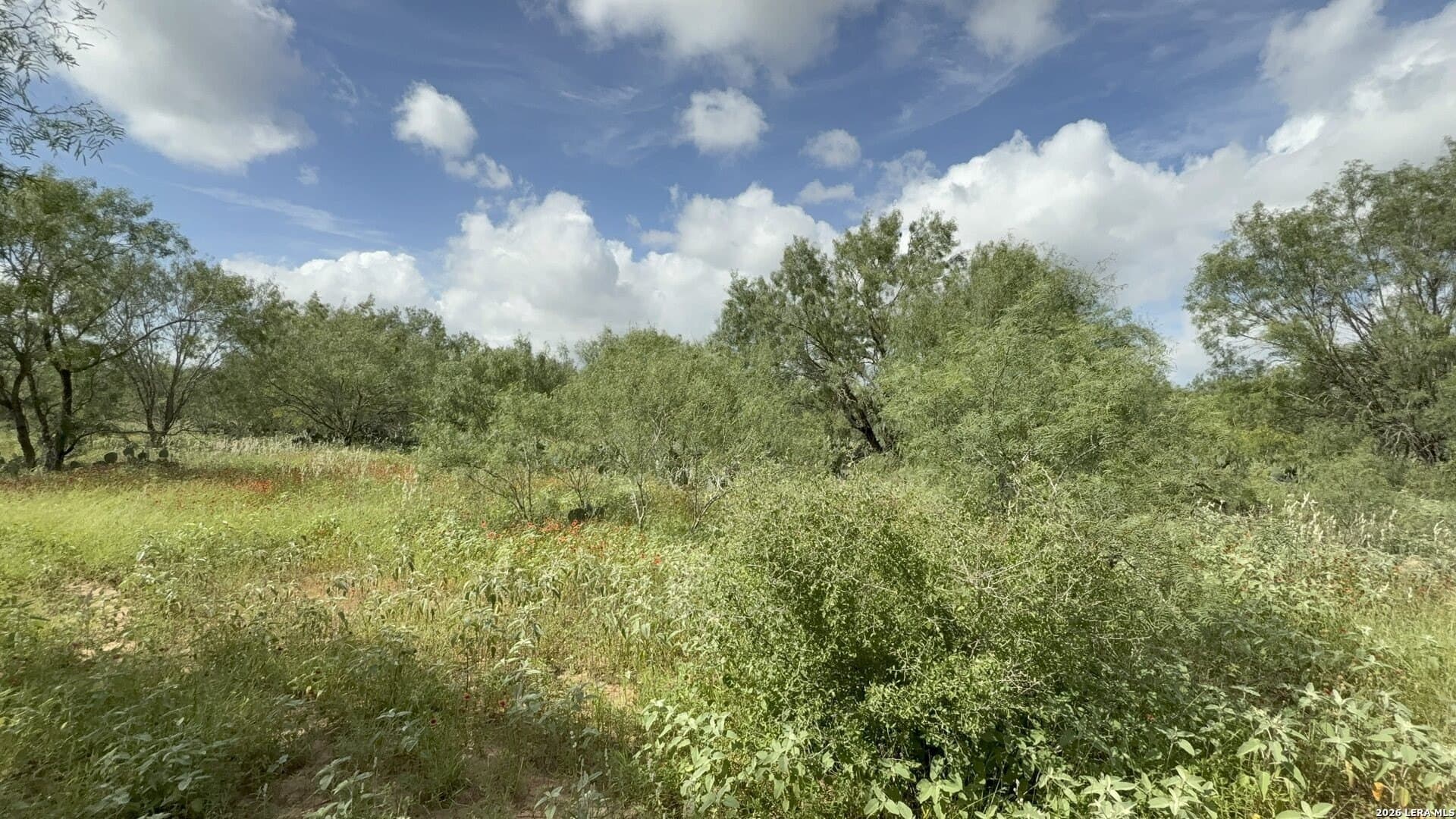 20.06 acres in Frio County - photo 16