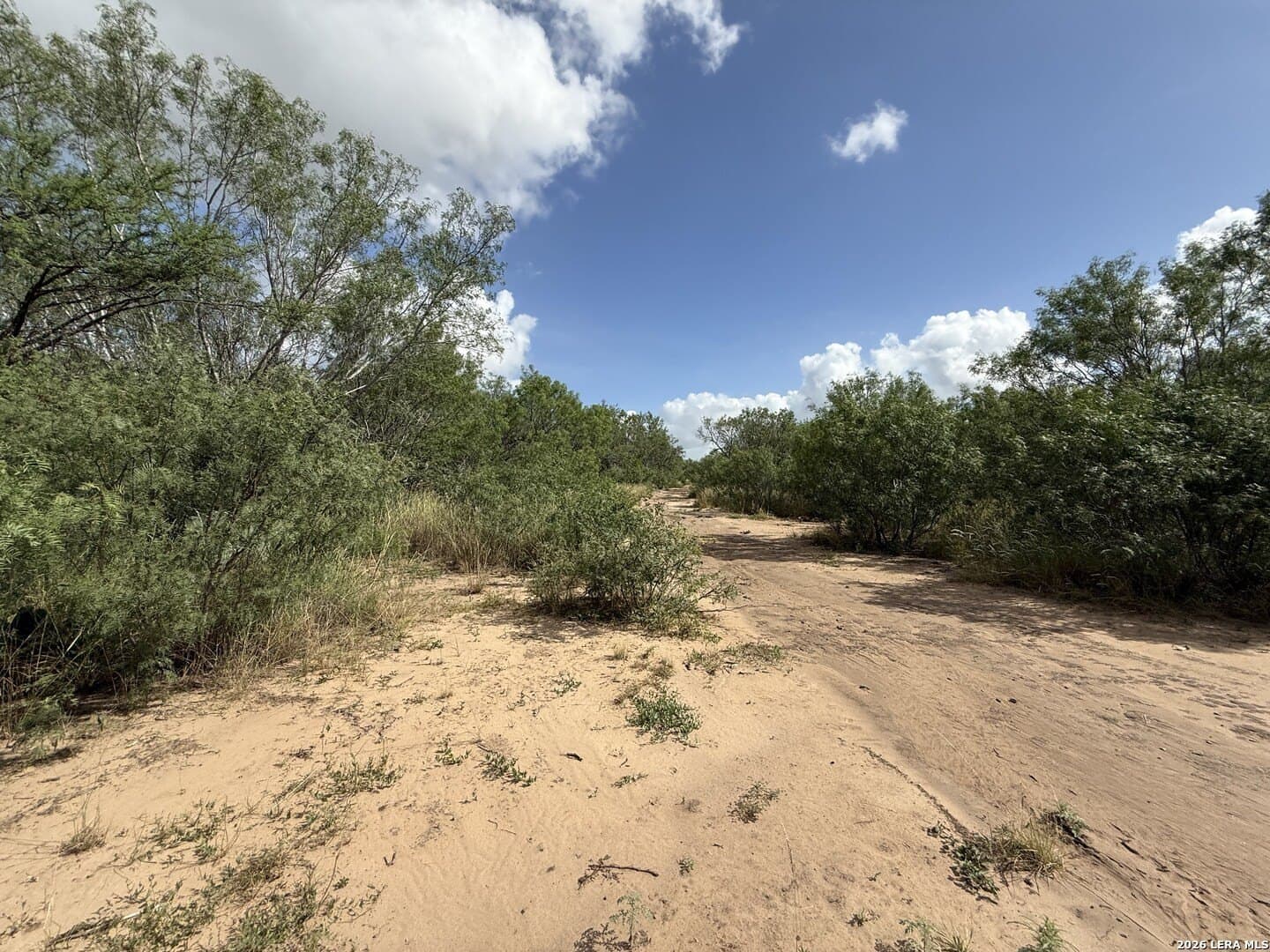 20.06 acres in Frio County - photo 12