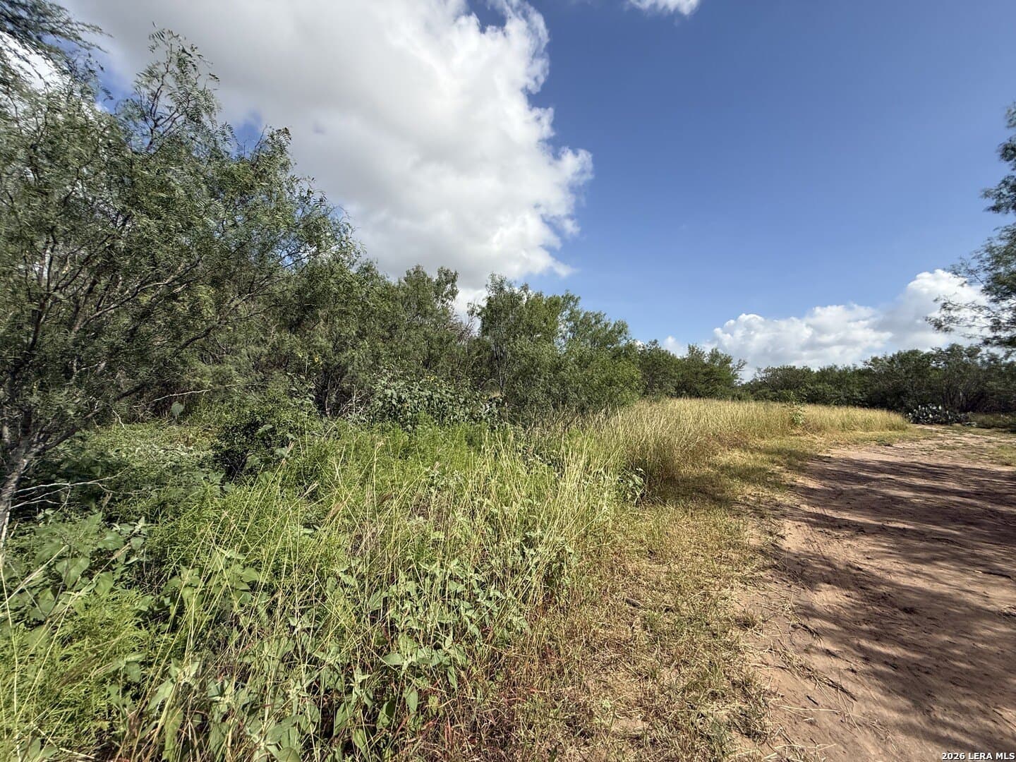 20.06 acres in Frio County - photo 9