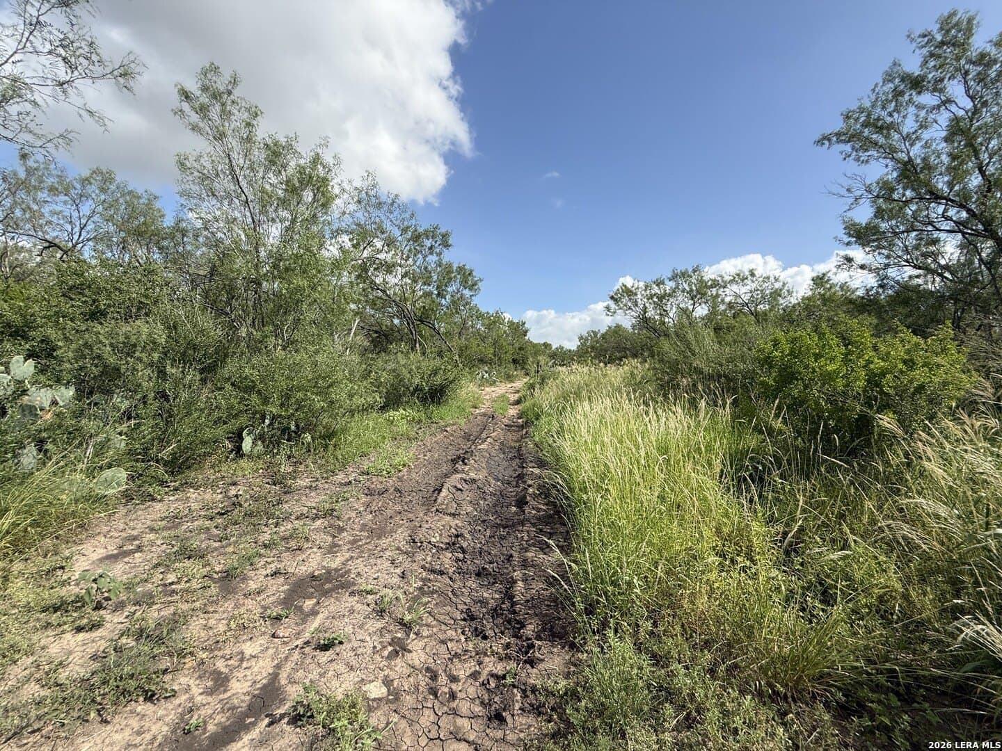 20.06 acres in Frio County - photo 6