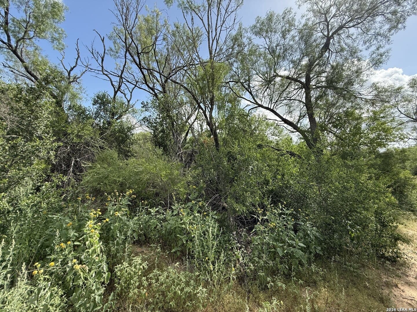 20.06 acres in Frio County - photo 13