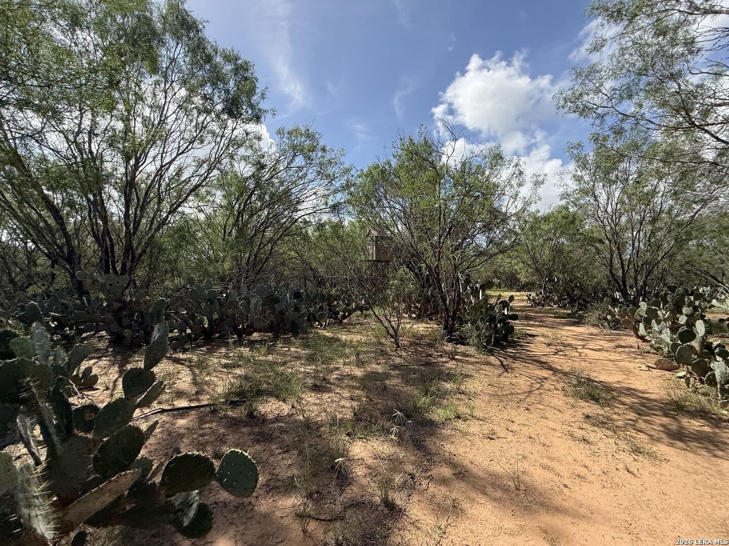 20.06 acres in Frio County - photo 25