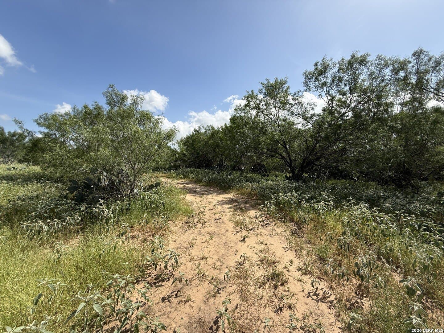 20.06 acres in Frio County - photo 20