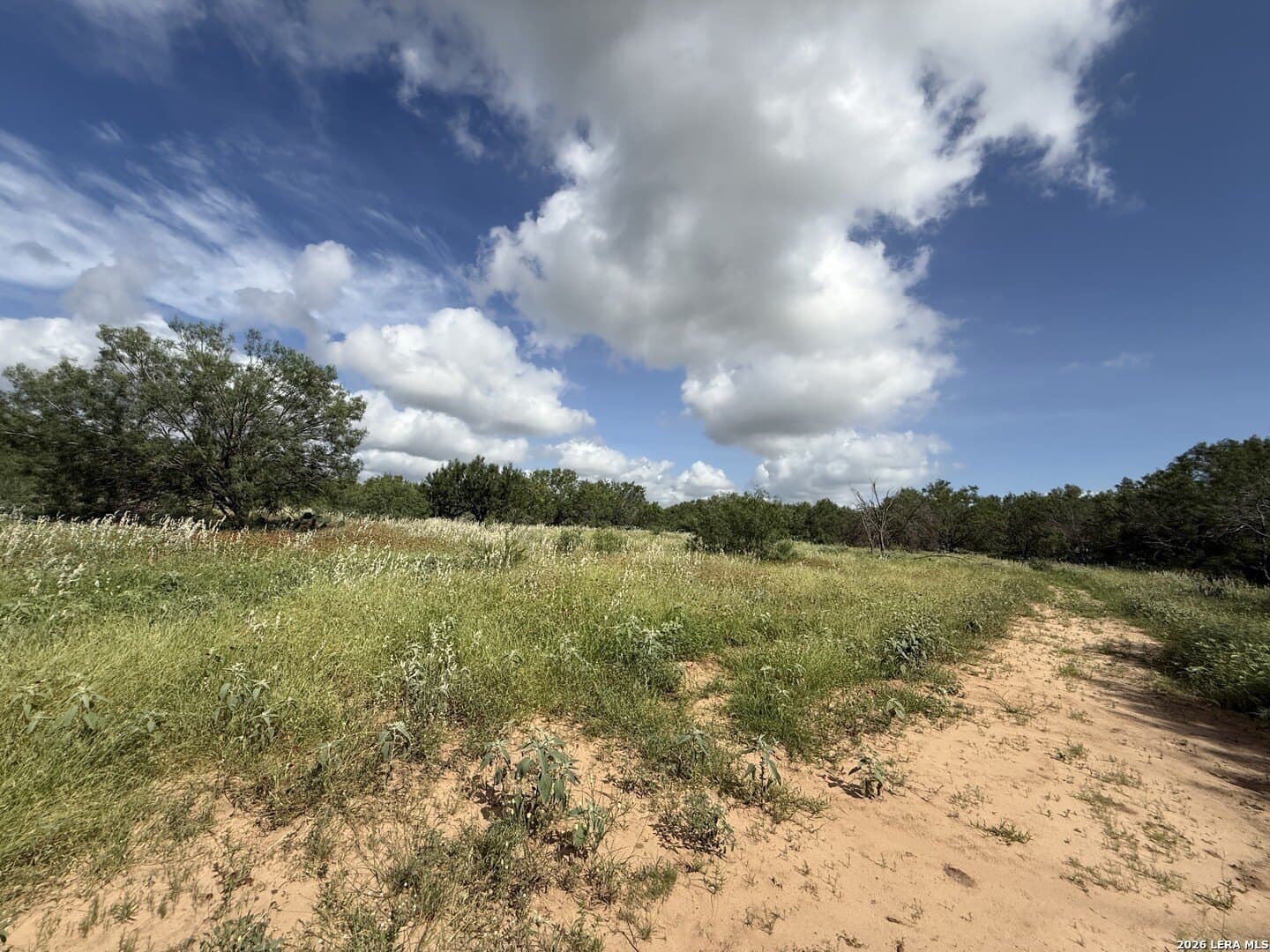20.06 acres in Frio County - photo 11