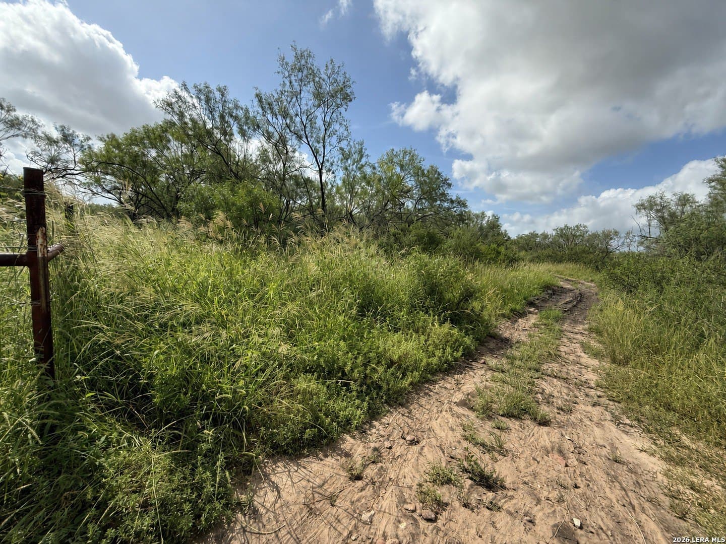 20.06 acres in Frio County - photo 7