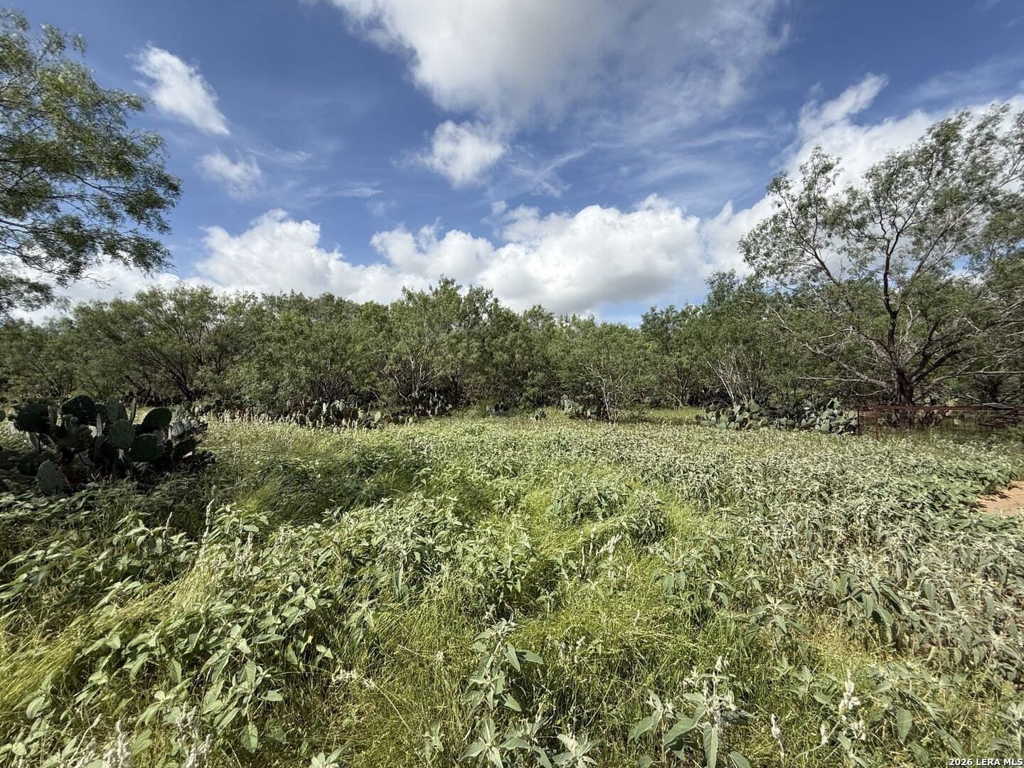 20.06 acres in Frio County - photo 18
