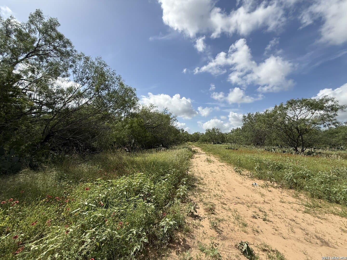 20.06 acres in Frio County - photo 14