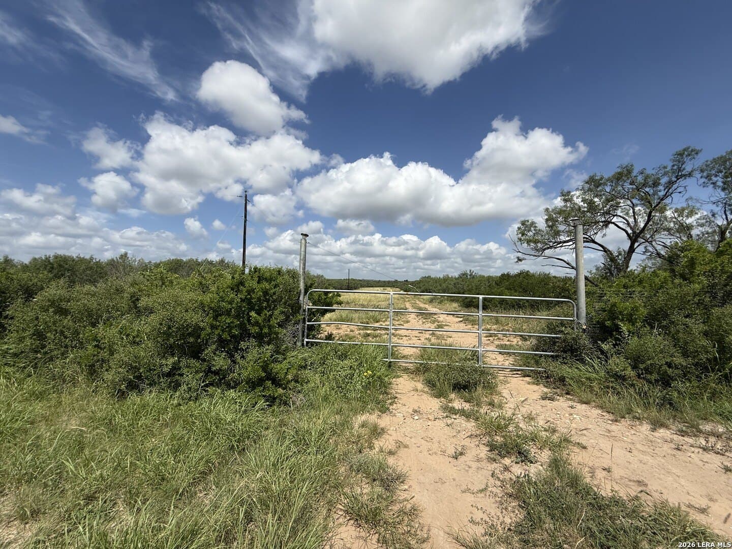 20.06 acres in Frio County gallery image 3