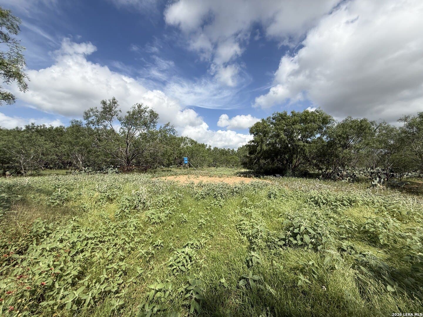20.06 acres in Frio County - photo 17