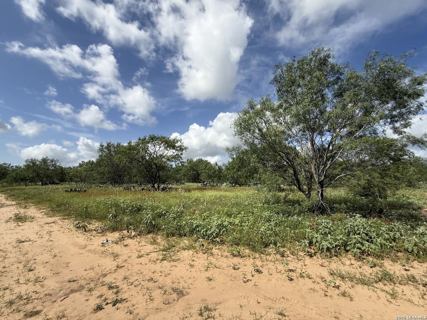 20.06 acres in Frio County - photo 15