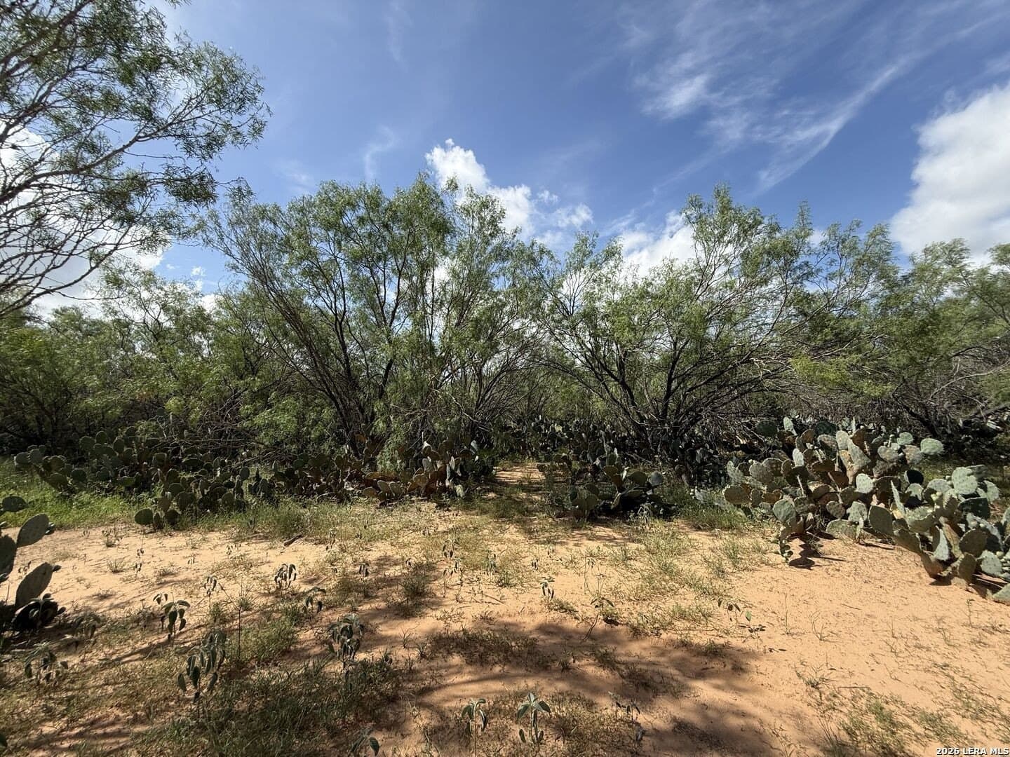 20.06 acres in Frio County - photo 22