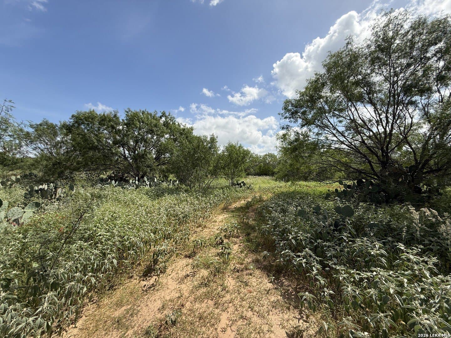 20.06 acres in Frio County - photo 27
