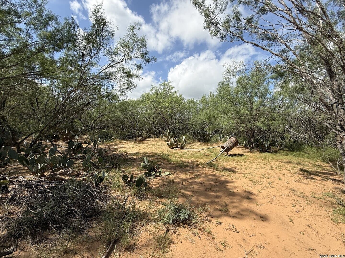 20.06 acres in Frio County - photo 26