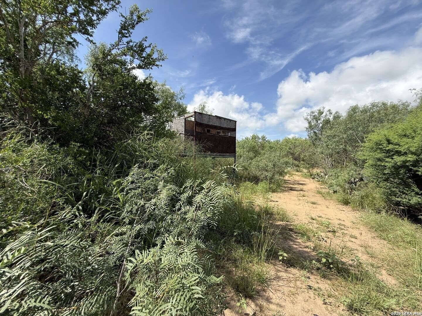 20.06 acres in Frio County - photo 21