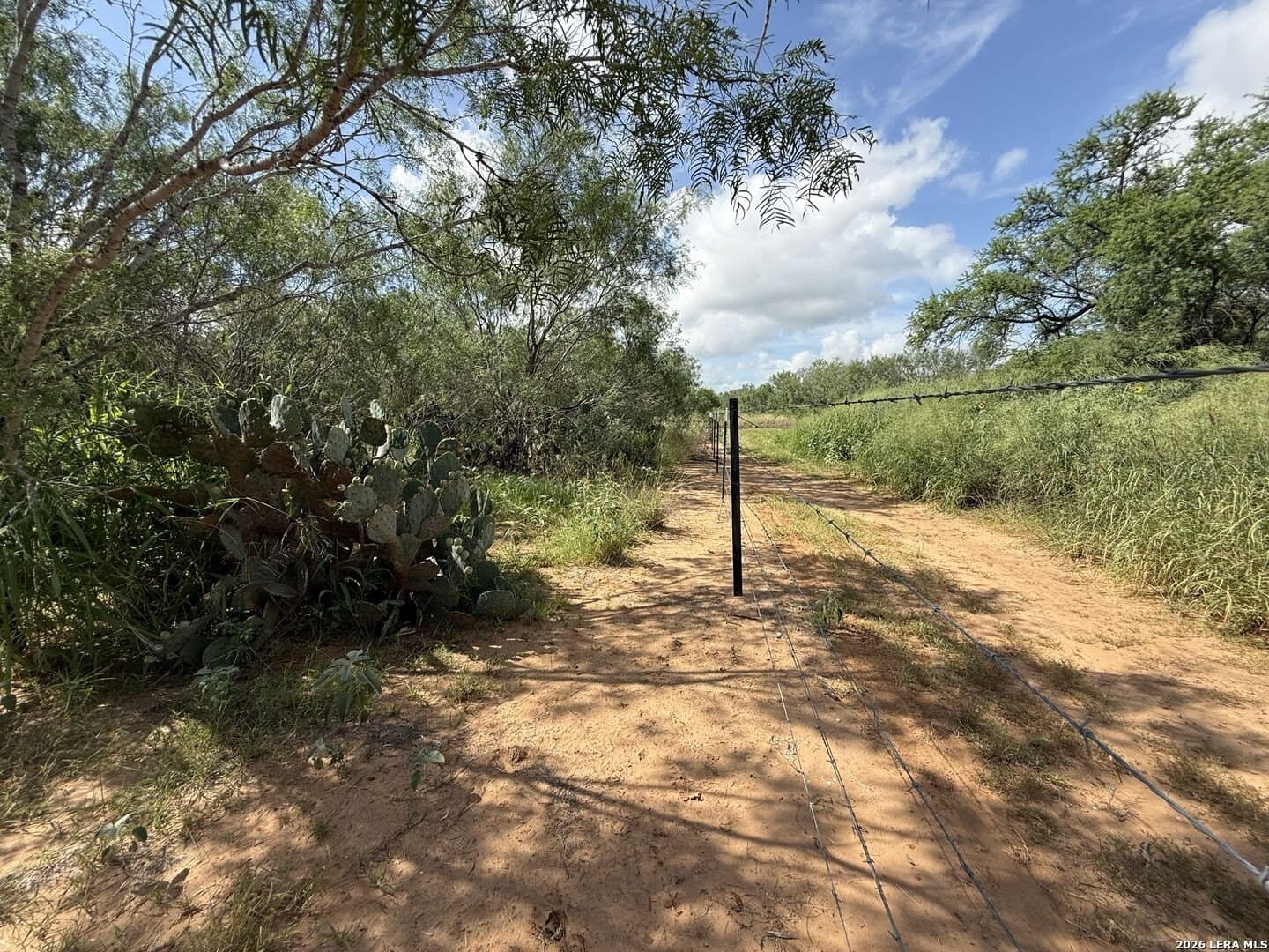 20.06 acres in Frio County - photo 24
