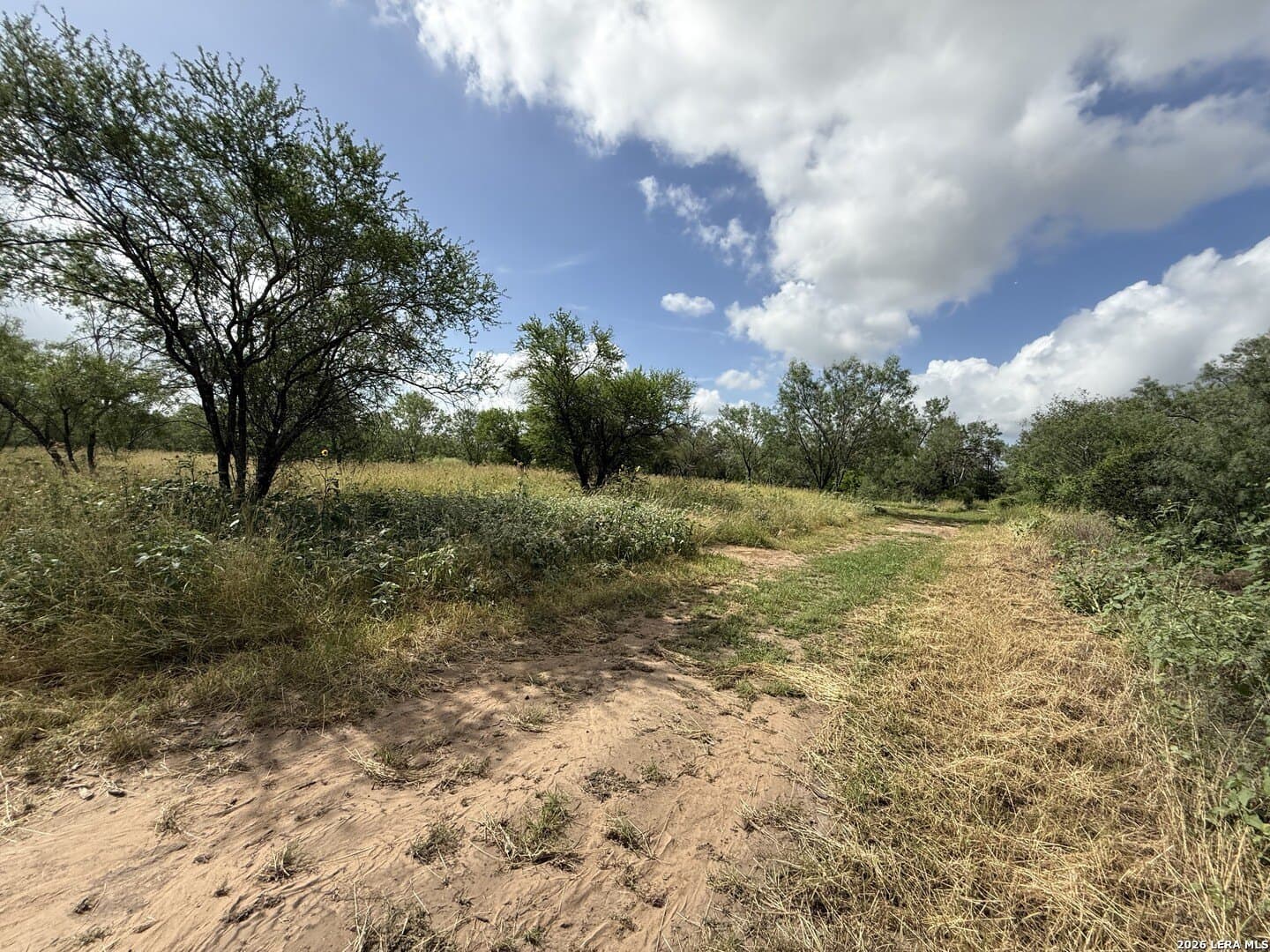 20.06 acres in Frio County - photo 8