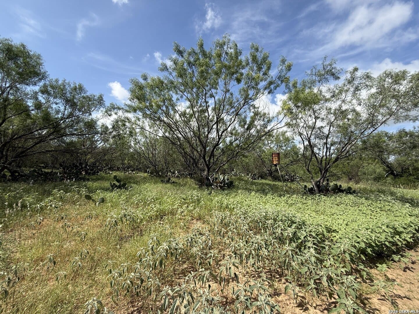 20.06 acres in Frio County - photo 19