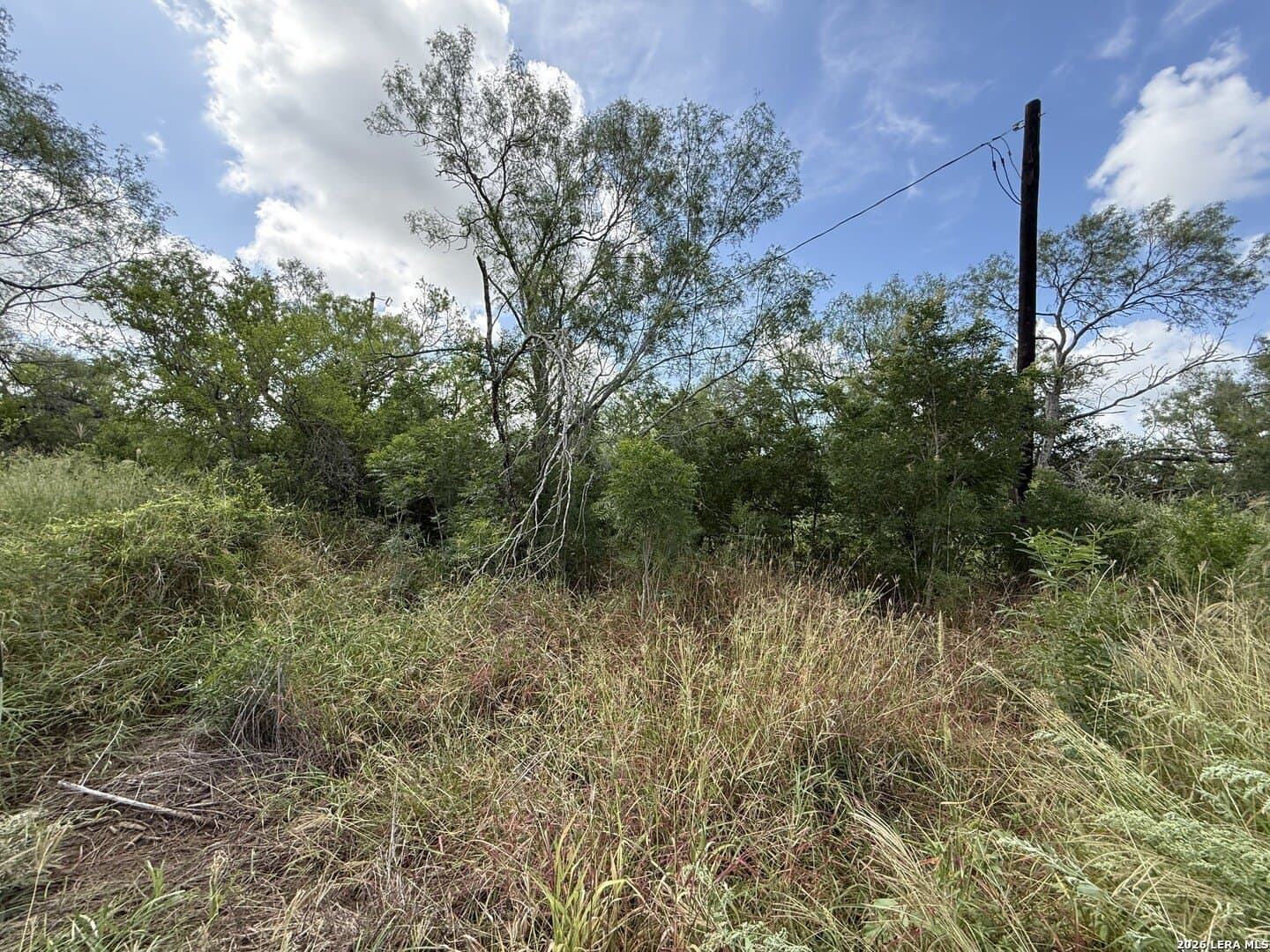 20.06 acres in Frio County - photo 28