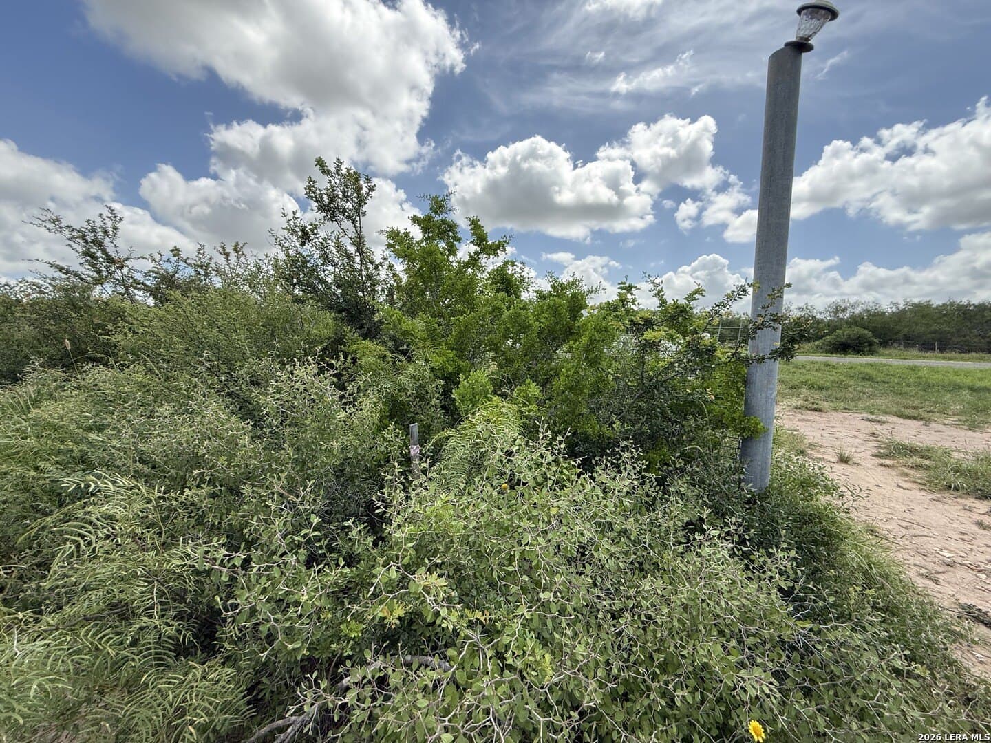 20.06 acres in Frio County gallery image 4