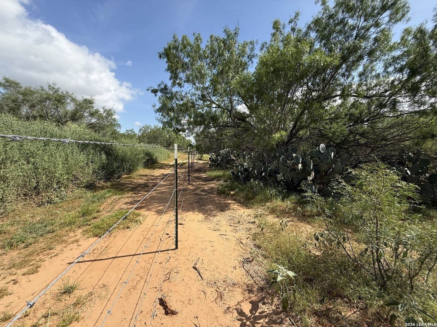 20.06 acres in Frio County - photo 23