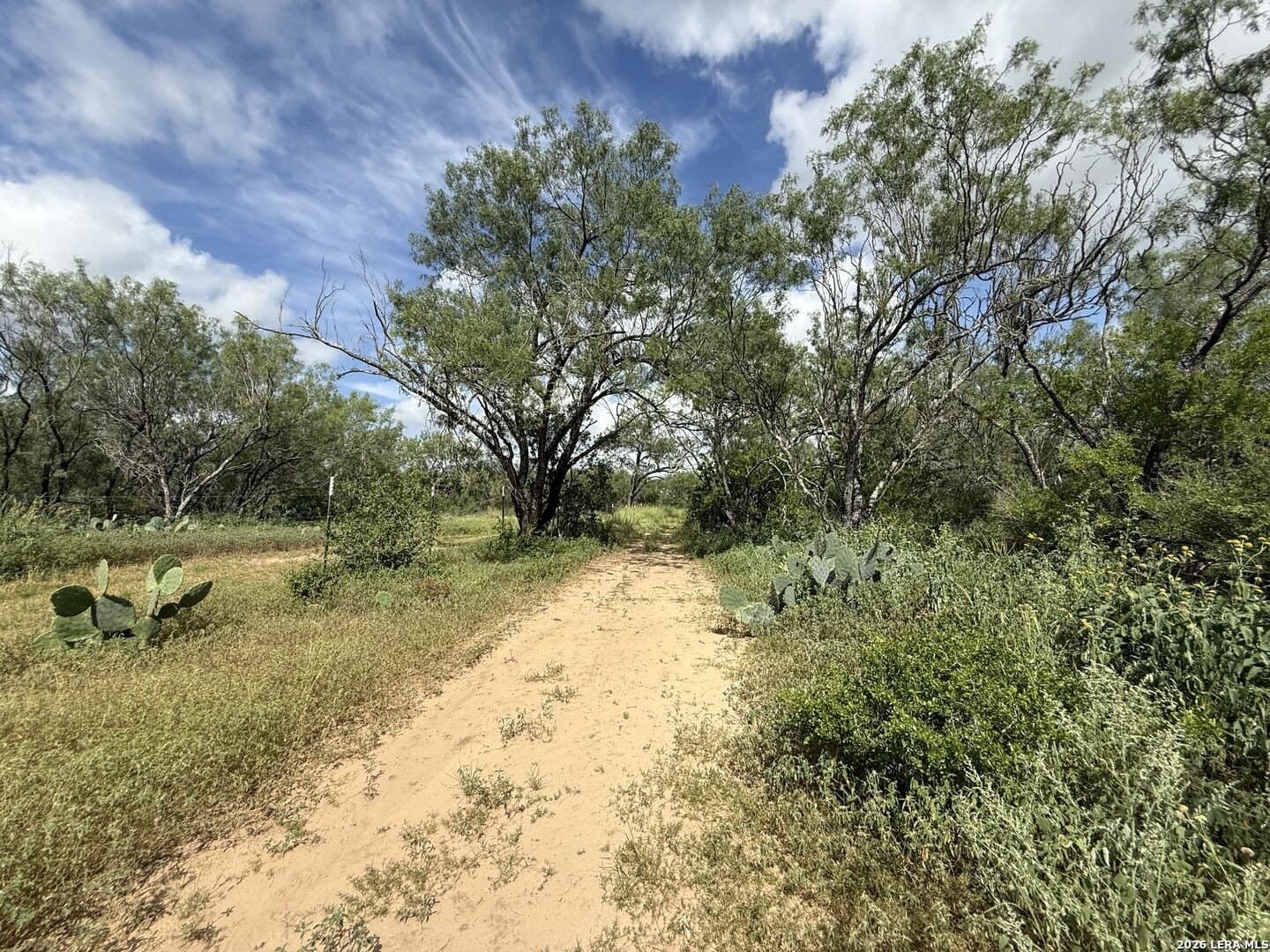 20.06 acres in Frio County - photo 10