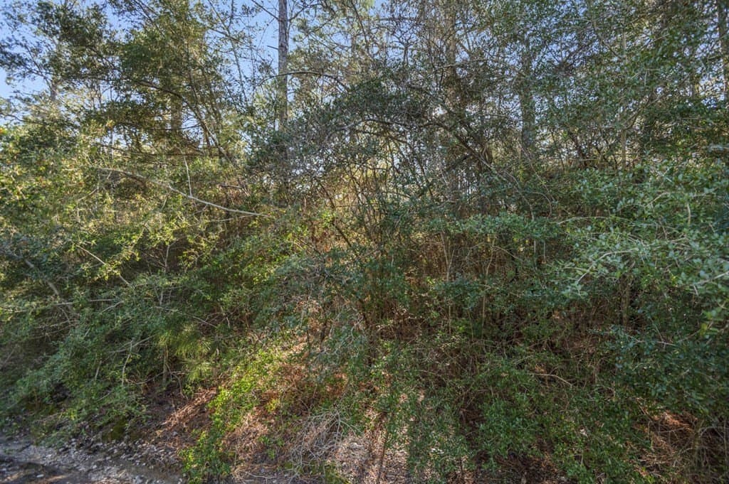 0.56 acres in Texas County gallery image 4