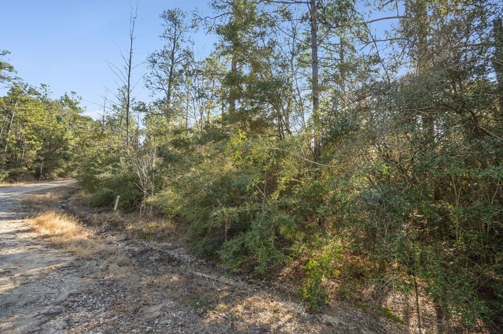 0.56 acres in Texas County featured view