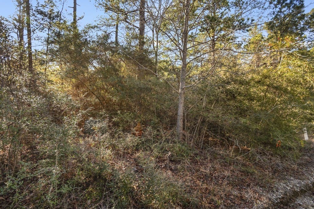 0.56 acres in Texas County gallery image 3