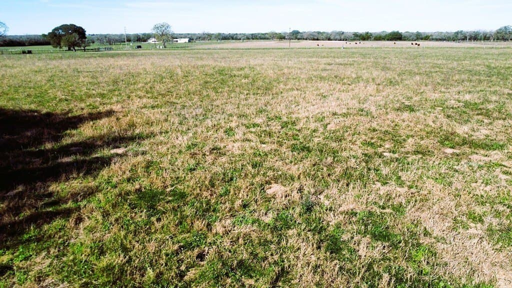 4 acres in Fayette County - photo 16