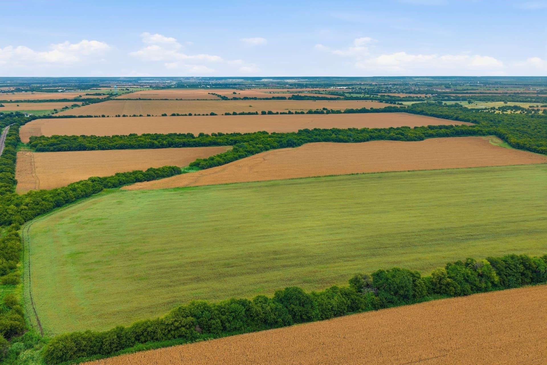 161.32 acres in Johnson County - photo 14