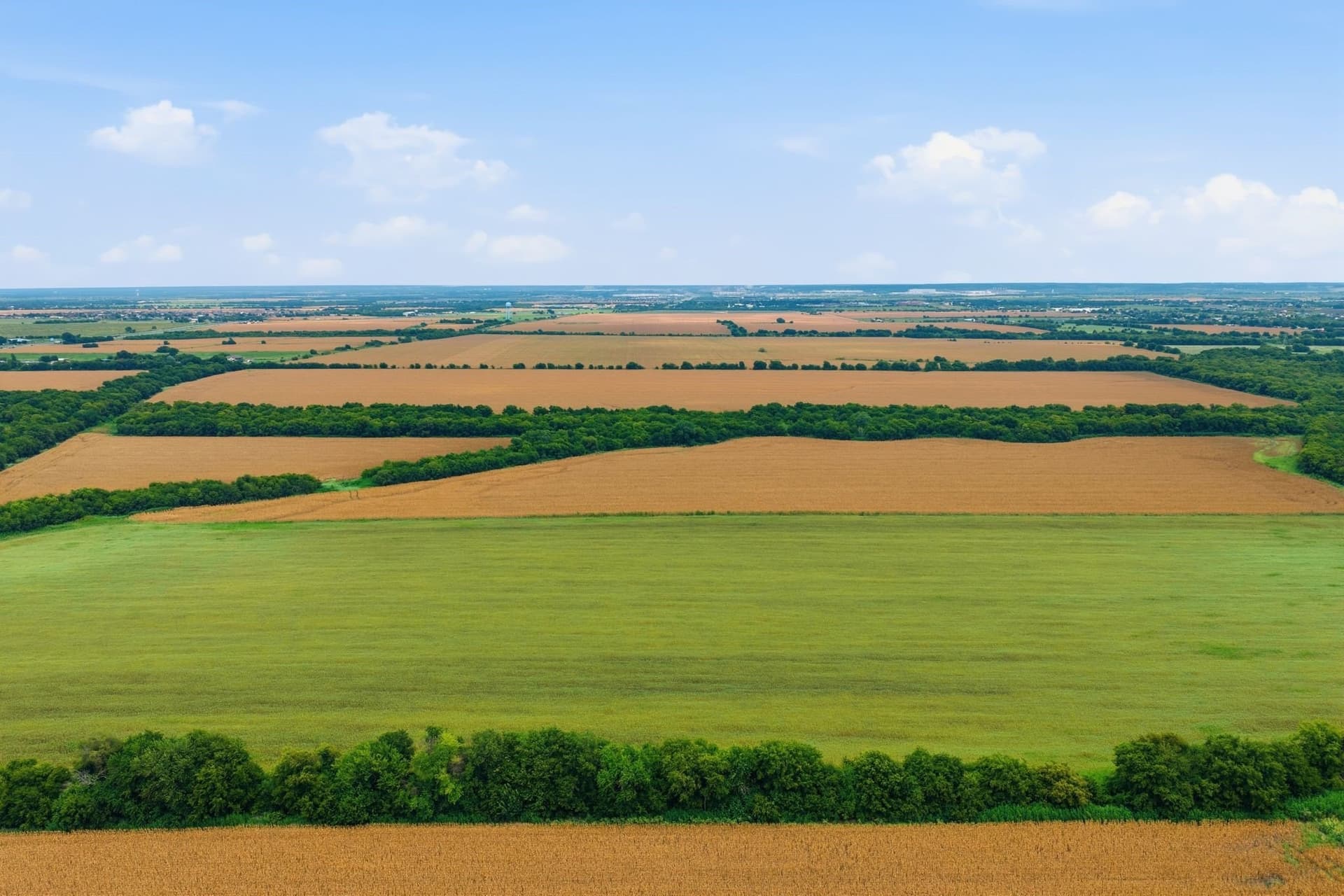 161.32 acres in Johnson County - photo 15