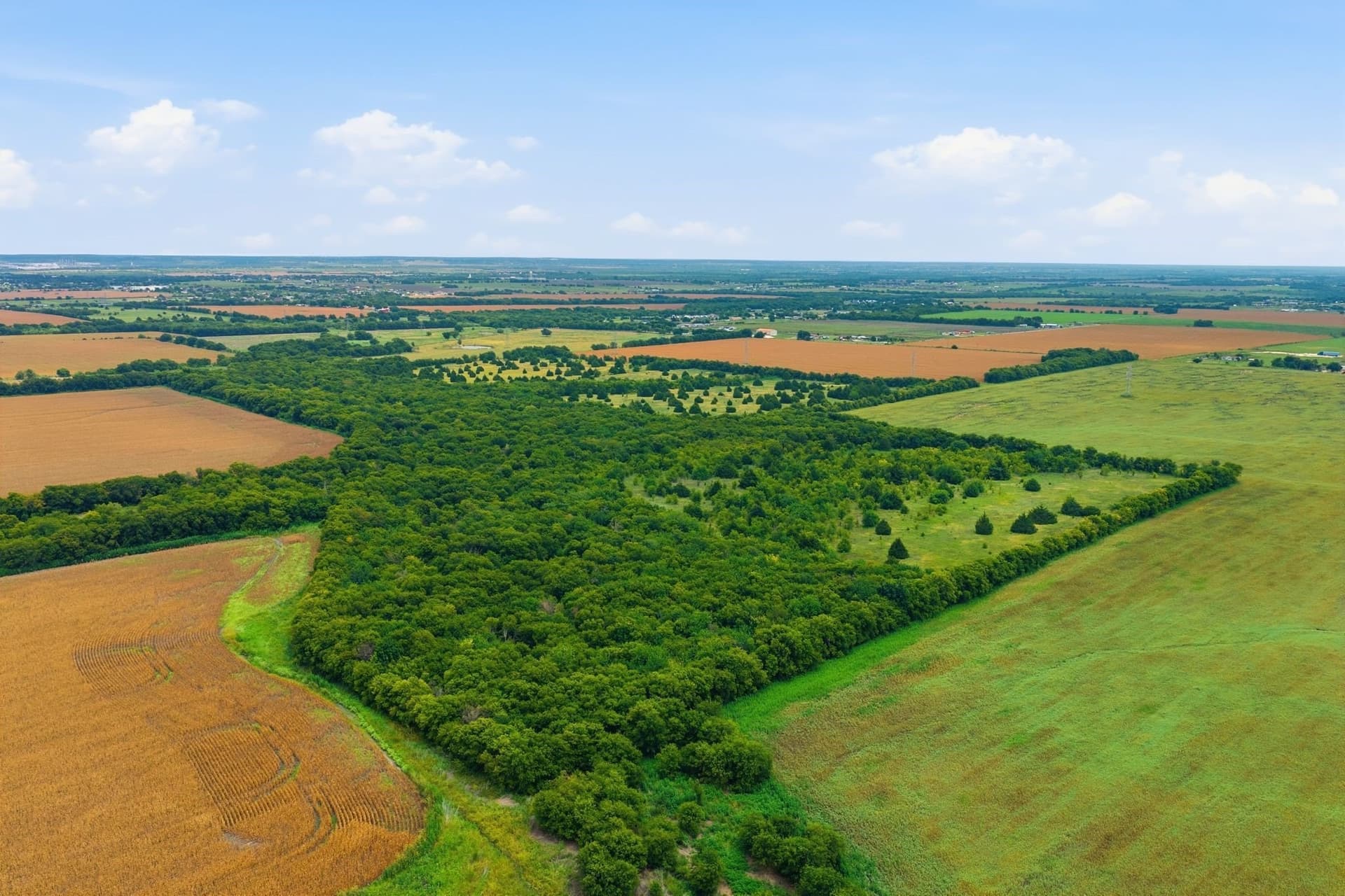 161.32 acres in Johnson County - photo 18