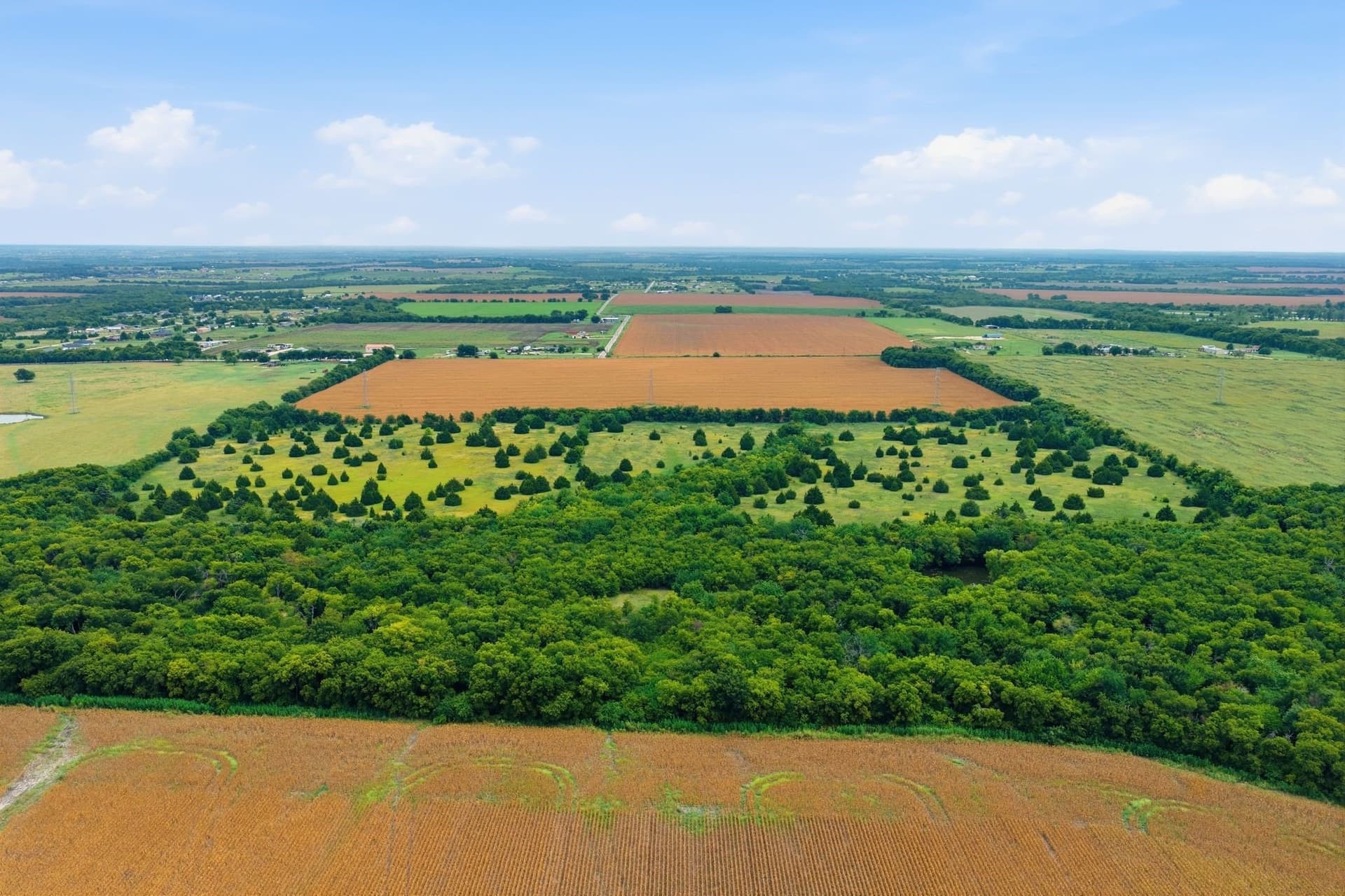 161.32 acres in Johnson County - photo 21