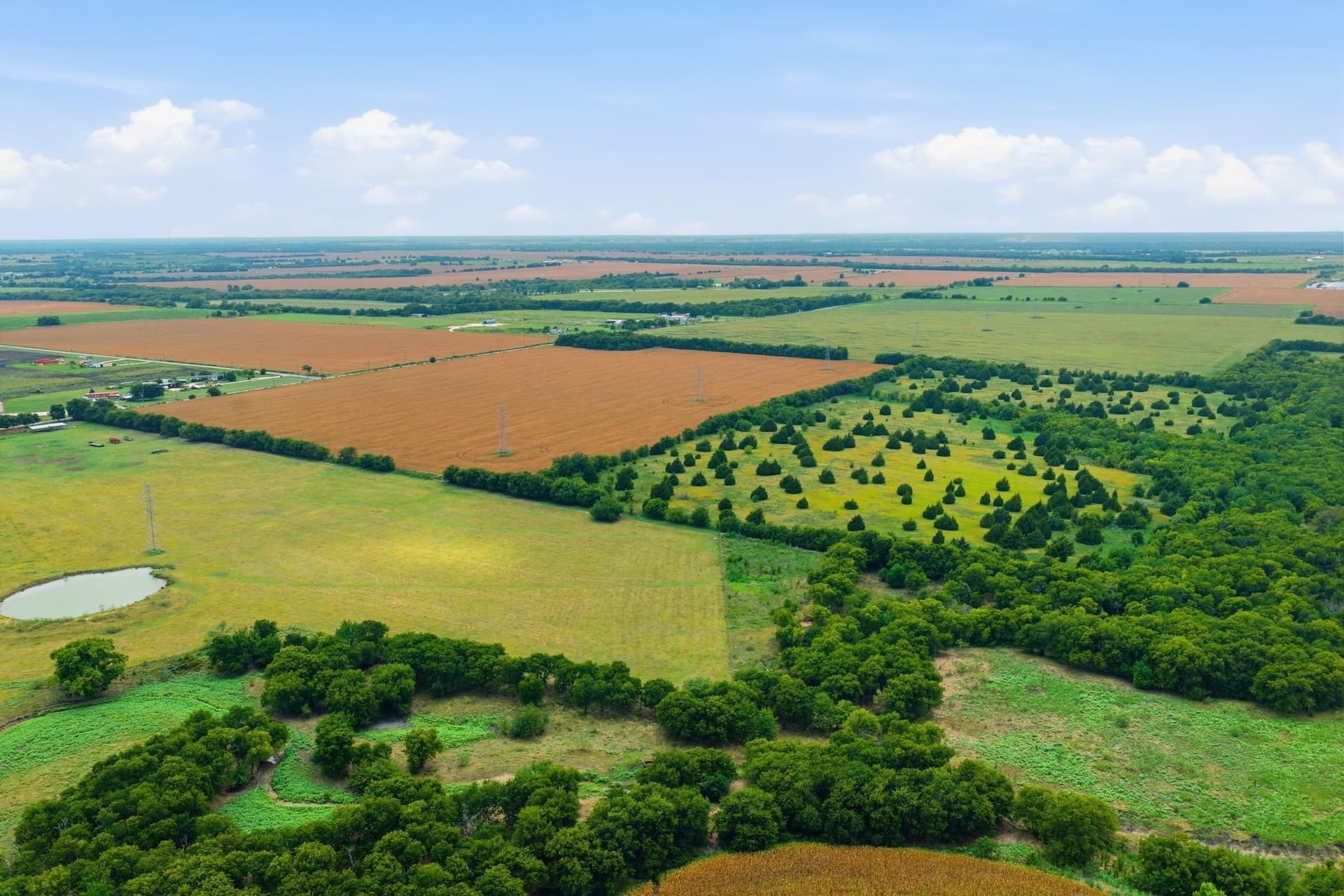 161.32 acres in Johnson County - photo 8