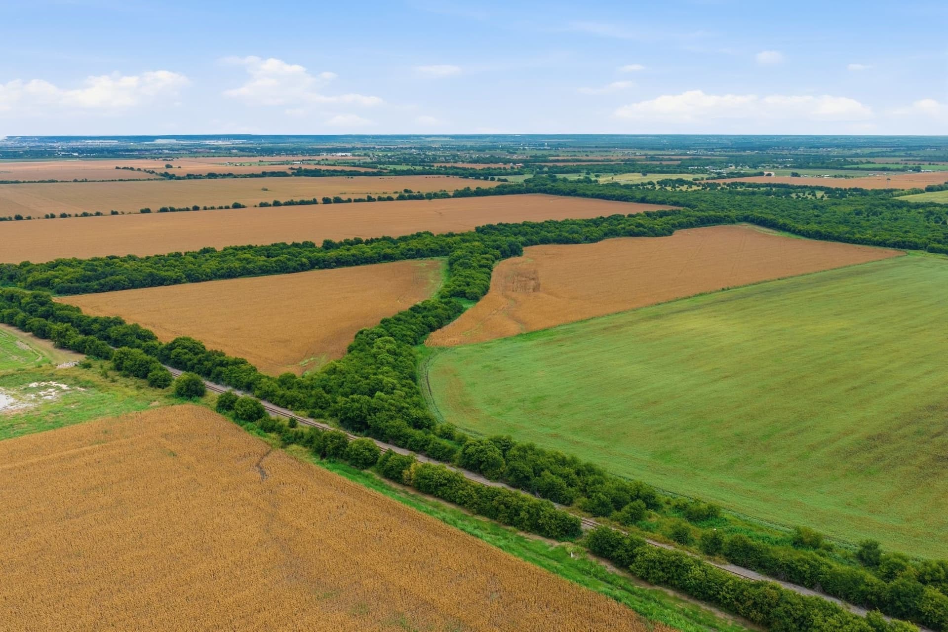 161.32 acres in Johnson County - photo 13
