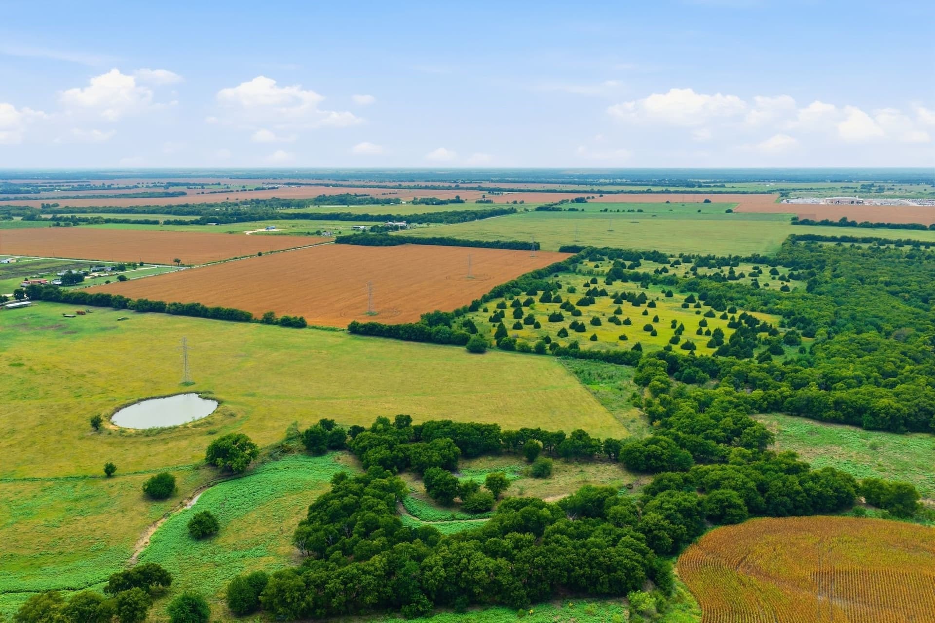 161.32 acres in Johnson County - photo 7
