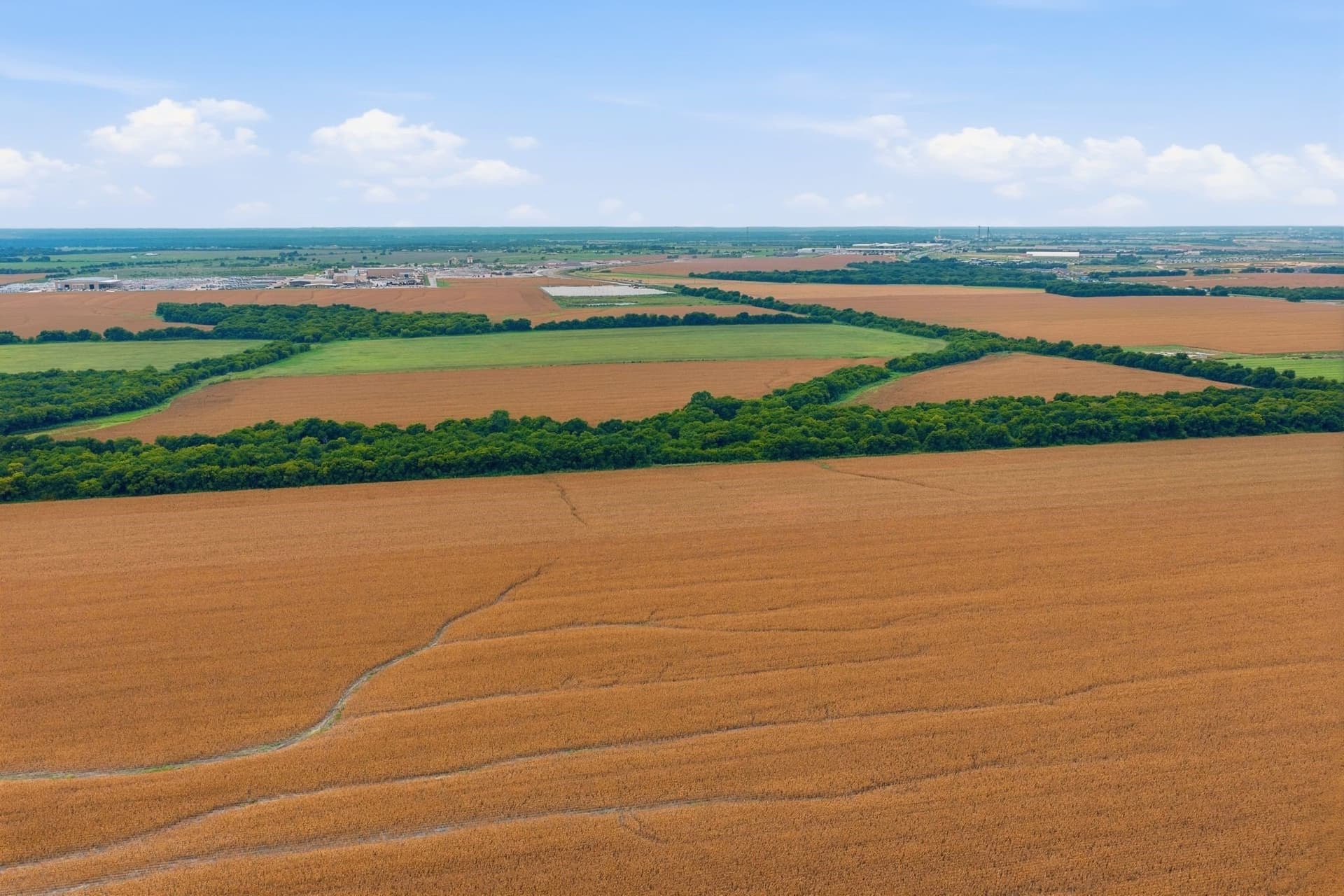 161.32 acres in Johnson County - photo 9