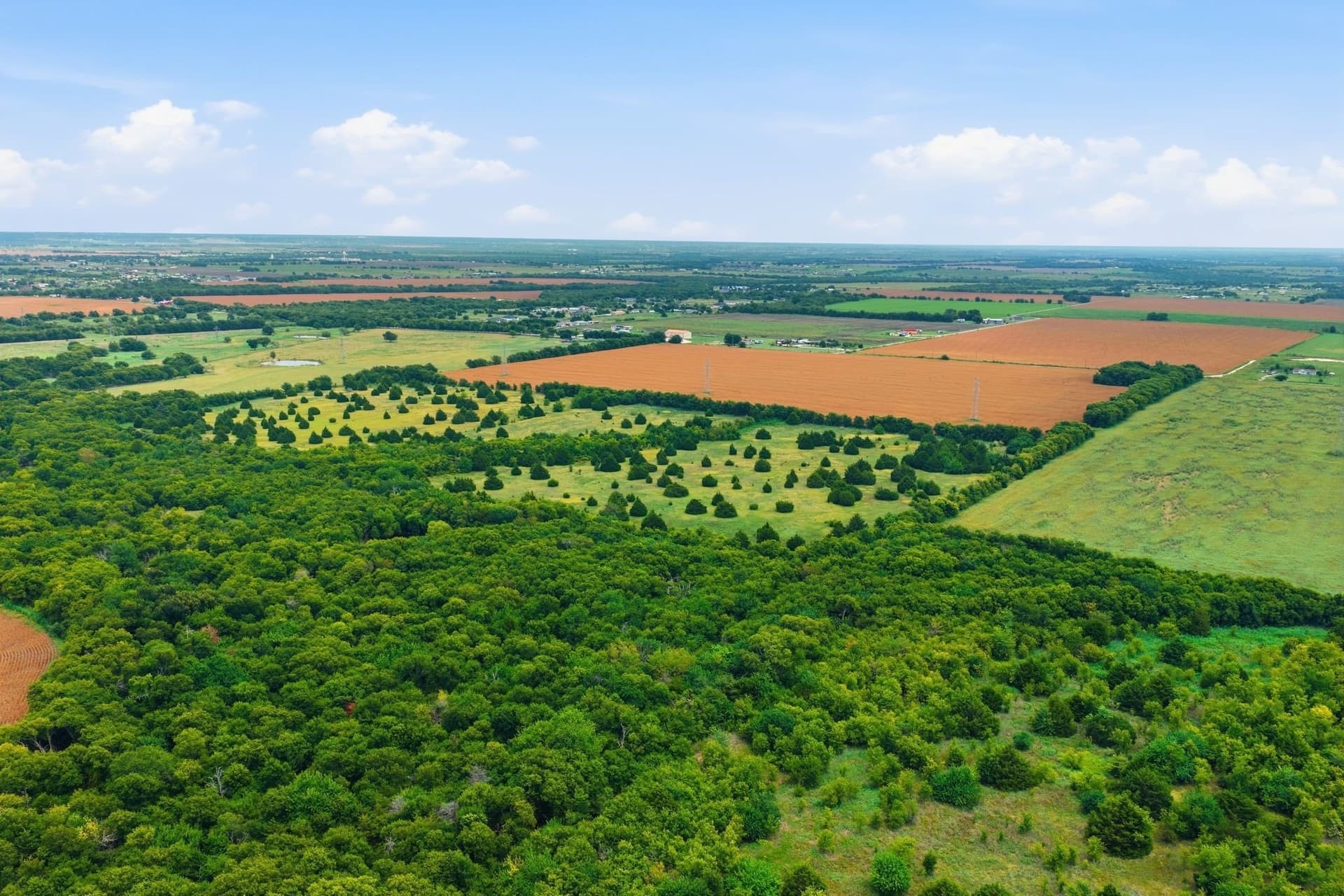 161.32 acres in Johnson County - photo 20