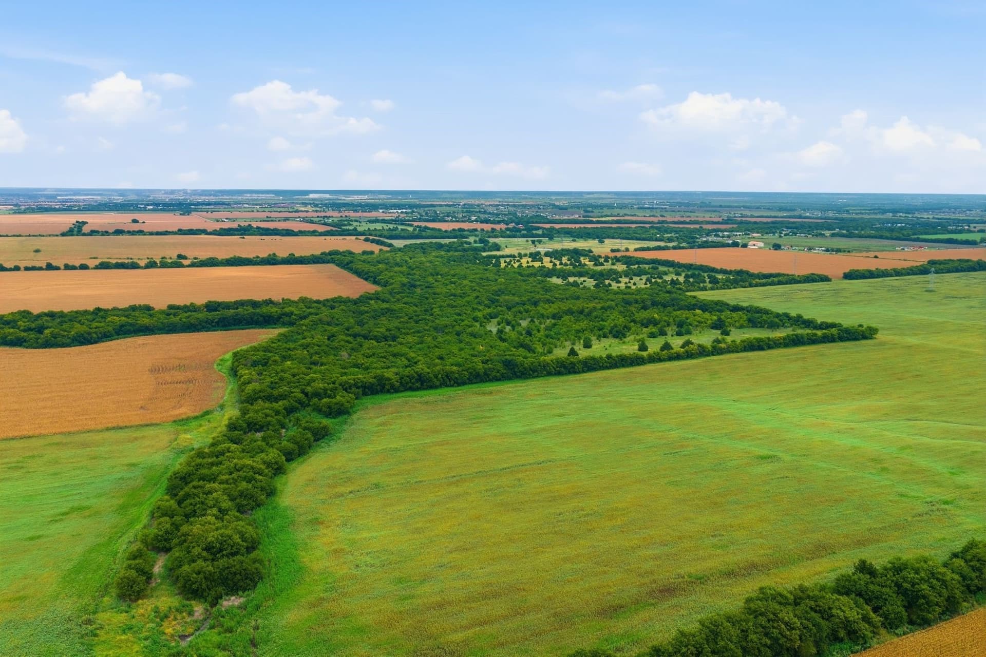 161.32 acres in Johnson County - photo 17