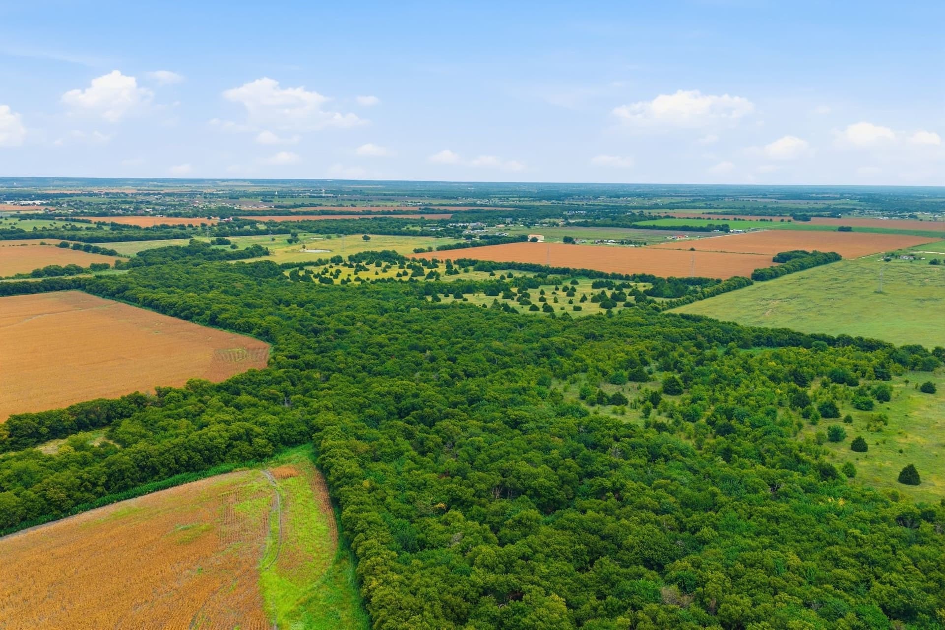 161.32 acres in Johnson County - photo 19