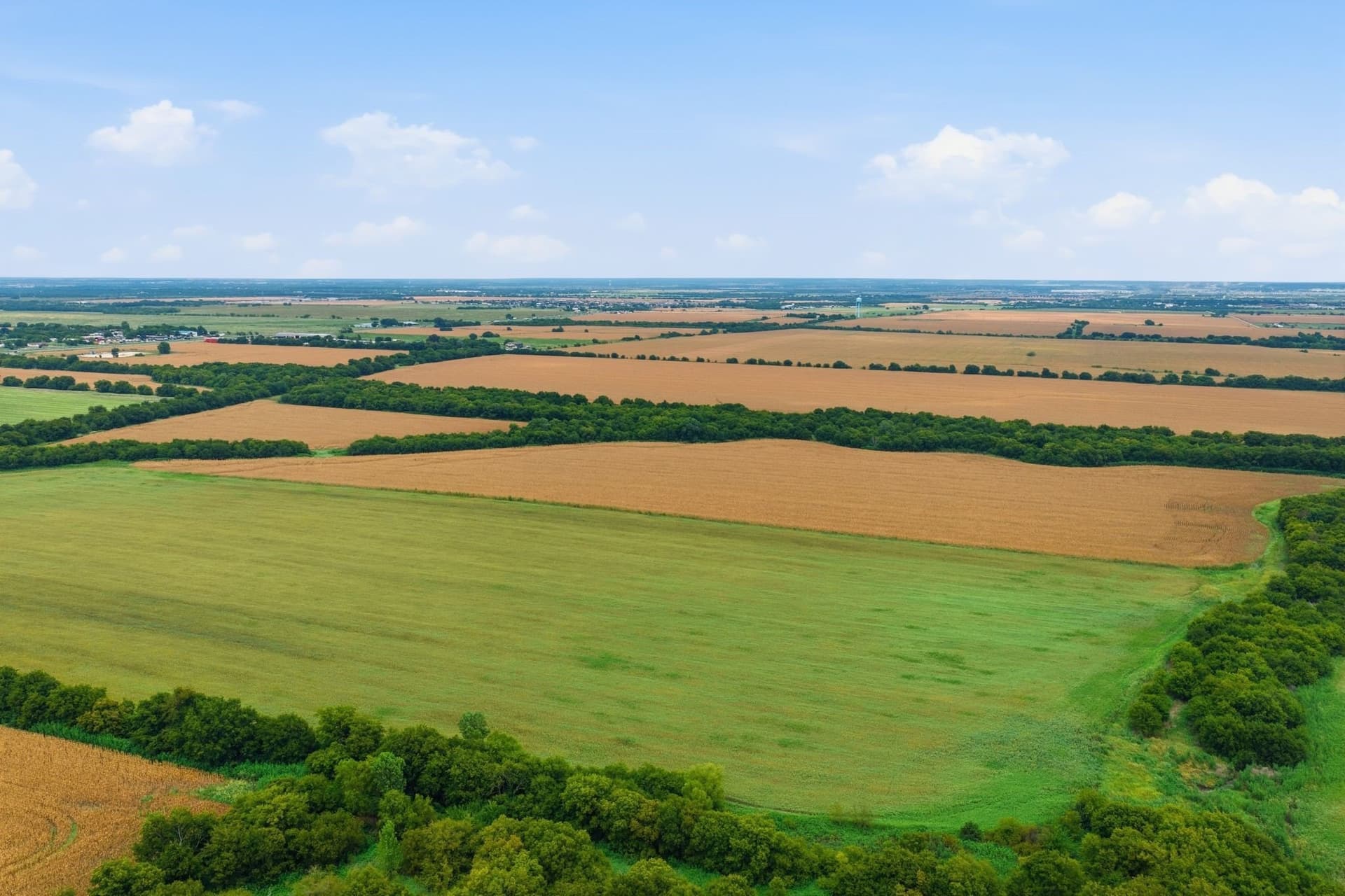161.32 acres in Johnson County - photo 16