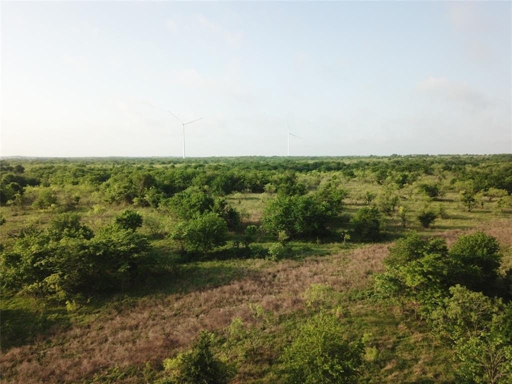 308.64 acres in Limestone County featured view